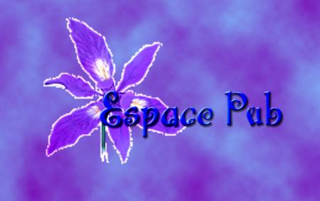 Espace Pub