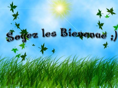 Bienvenue !