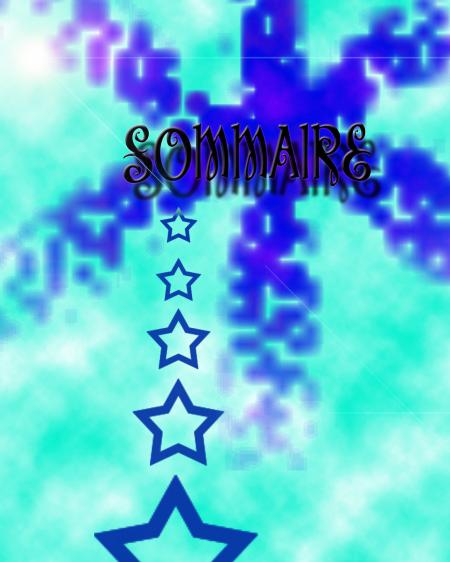 Sommaire